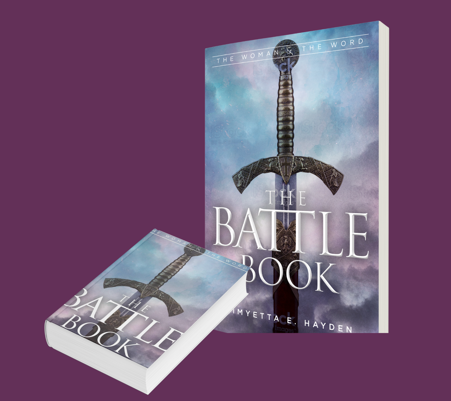 The Battle Book: Scripture Prayer Confessions